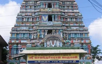 അരുൾമിഗു സൗന്ദരരാജ പെരുമാൾ ക്ഷേത്രം, തടികൊമ്പ്